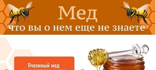 Интересные факты о пчелином меде - Sputnik Азербайджан