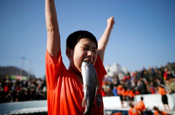 Мальчик, поймавший собственными руками форель, на празднике в поддержку грядущего Ледяного фестиваля в южнокорейском городе Хвачхон - Sputnik Азербайджан