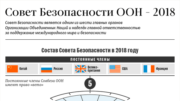 Совет Безопасности ООН в 2018 году - Sputnik Азербайджан