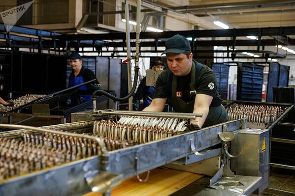 Производство шпрот на латвийском рыбоперерабатывающем предприятии Brīvais vilnis - Sputnik Азербайджан