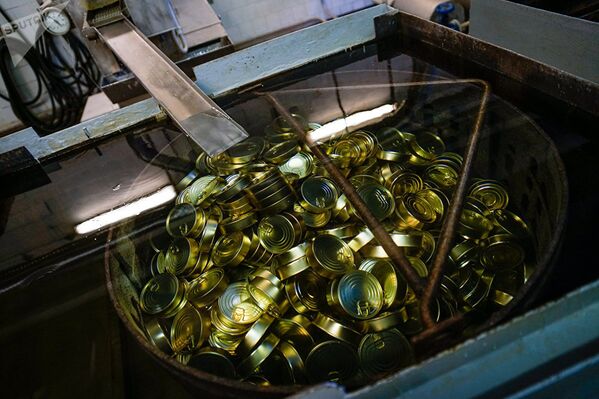 Производство шпрот на латвийском рыбоперерабатывающем предприятии Brīvais vilnis - Sputnik Азербайджан