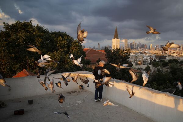 Девушка кормит птиц на крыше жилого здания в Тель-Авиве - Sputnik Азербайджан
