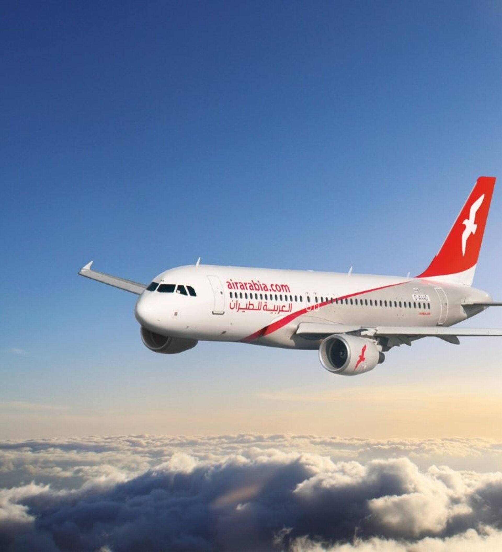 Air arabia отзывы 2023