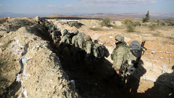 Zeytin Dalı Harekatı'nda Afrin'in kuzeydoğusundaki stratejik Burseya Dağı ele geçirildi. - Sputnik Azərbaycan