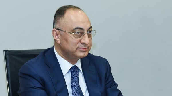 Председатель агентства продовольственной безопасности Гошгар Тахмазли - Sputnik Azərbaycan