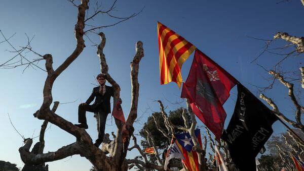 Демонстрант в маске, бывшего регионального президента Карла Пучдемона, стоит на дереве во время протеста в Барселоне, Испания, 30 января 2018 года - Sputnik Азербайджан