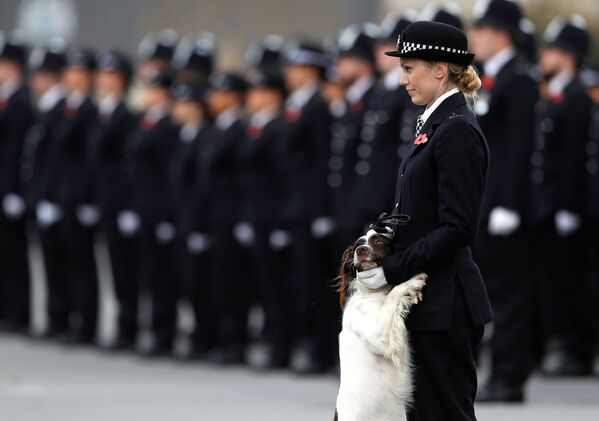 Женщина-полицейский в Лондоне - Sputnik Азербайджан