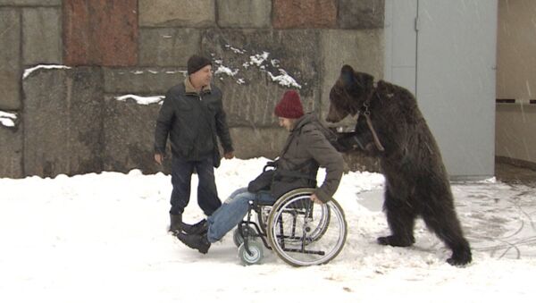 Цирковой медведь Яша помог забрать из больницы дрессировщика - Sputnik Азербайджан