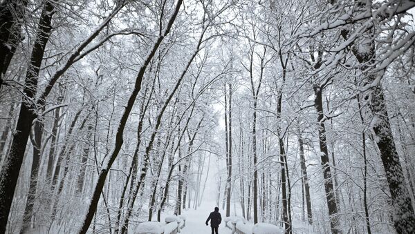 Снегопад, фото из архива - Sputnik Азербайджан