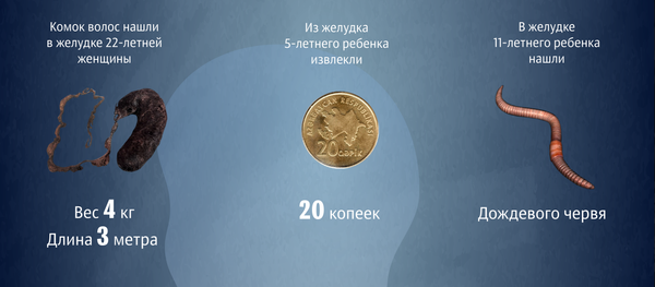 Организм Организм - Sputnik Азербайджан