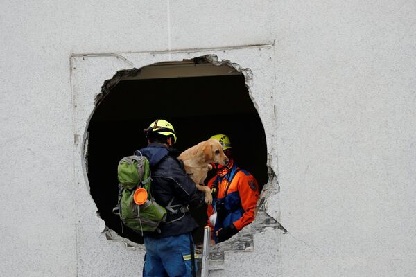 Спасатели эвакуируют собаку из разрушенного в результате землетрясения в городе Хуалянь отеля Marshal, Тайвань - Sputnik Азербайджан