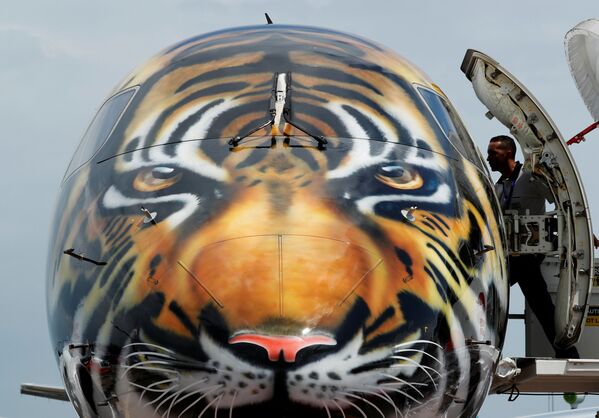 Самолет Embraer E-190 E2 с изображением морды тигра на носу на авиашоу в Сингапуре - Sputnik Азербайджан