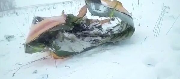 Видео с места падения пассажирского самолета Ан-148 в Подмосковье Видео с места падения пассажирского самолета Ан-148 в Подмосковье - Sputnik Азербайджан