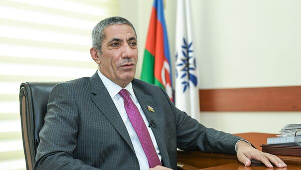 Заместитель исполнительного секретаря правящей партии Ени Азербайджан (ПЕА) Сиявуш Новрузов - Sputnik Азербайджан