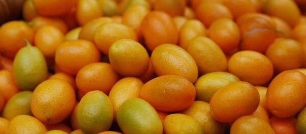 Плоды кумквата - Sputnik Азербайджан