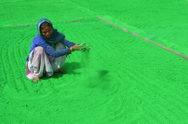 Женщина подготоваливает цветной порошок перед фестивалем Холи в Индии - Sputnik Азербайджан
