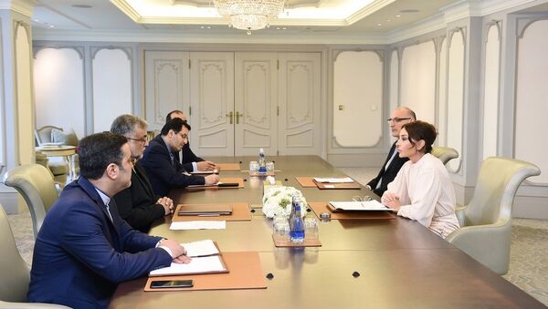 Первый вице-президент Мехрибан Алиева приняла председателя Организации культуры и исламских связей Ирана - Sputnik Азербайджан