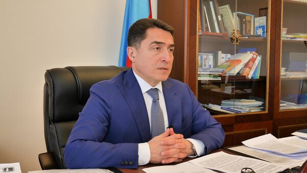 Председатель комитета Милли Меджлиса по правовой политике и государственному строительству Али Гусейнли - Sputnik Азербайджан