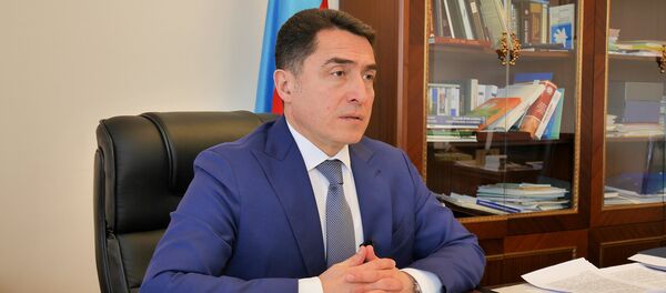 Председатель комитета Милли Меджлиса по правовой политике и государственному строительству Али Гусейнли Председатель комитета Милли Меджлиса по правовой политике и государственному строительству Али Гусейнли - Sputnik Азербайджан