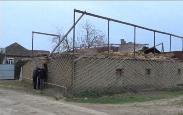 Последствия сильного ветра на юге Азербайджана - Sputnik Азербайджан