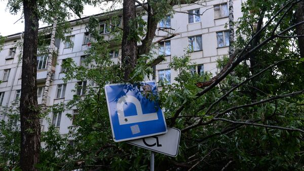 Сломанное ураганом дерево во дворе жилого дома, фото из архива - Sputnik Азербайджан