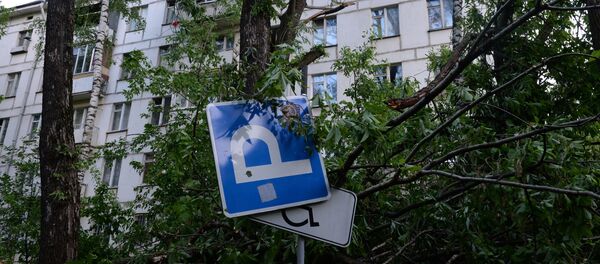 Сломанное ураганом дерево во дворе жилого дома, фото из архива - Sputnik Азербайджан