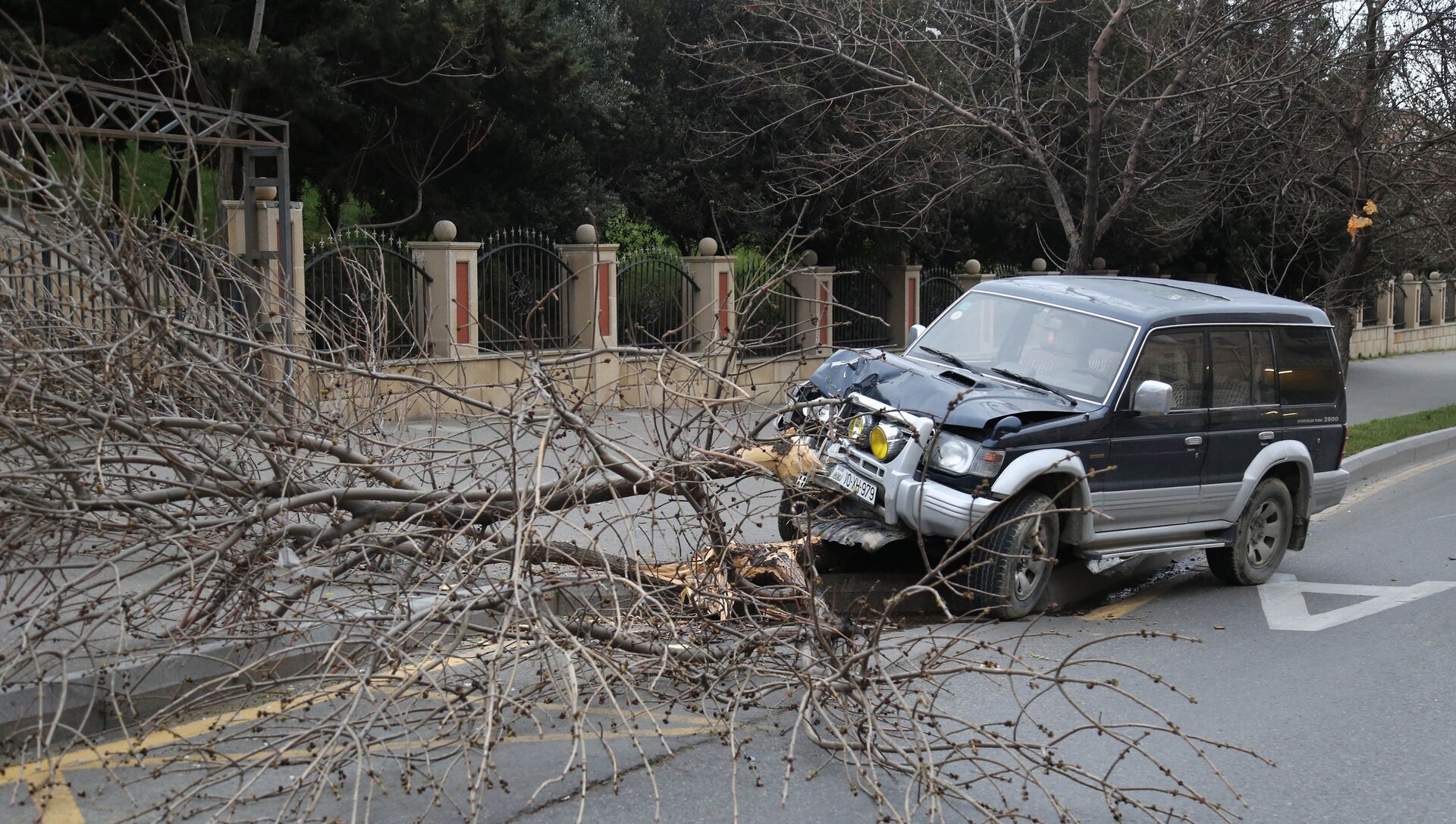 В Баку из-за сильного ветра автомобиль врезался в дерево - Sputnik Азербайджан, 1920, 27.04.2021