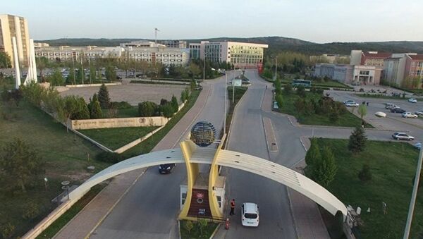 Эскишехирский университет Османгази, фото из архива - Sputnik Азербайджан