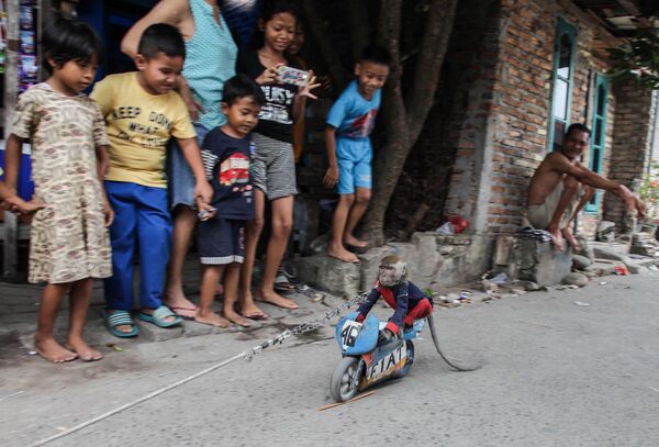 Обезьяна на игрушечном мотоцикле выступает перед детьми в Северной Суматре, Индонезия - Sputnik Азербайджан
