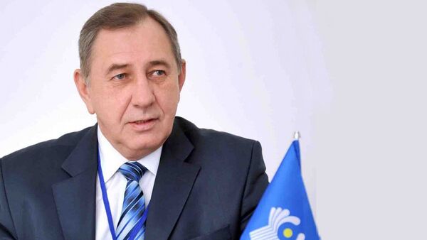 Руководитель штаба наблюдательной миссии СНГ Евгений Слобода - Sputnik Азербайджан