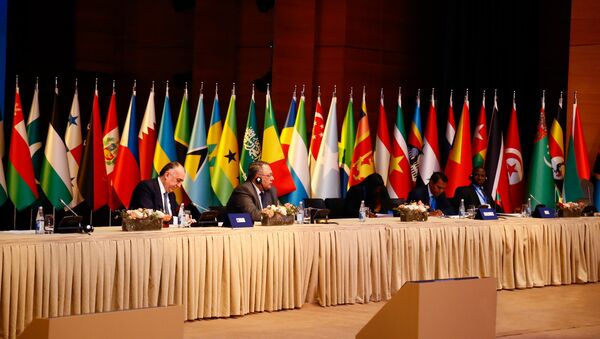 Промежуточная конференция министров стран-членов Движения неприсоединения на тему Содействие международному миру и безопасности во имя устойчивого развития - Sputnik Азербайджан