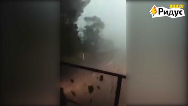 Новозеландец проехал сквозь торнадо на грузовике - Sputnik Азербайджан