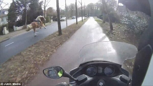 Мотоциклист догнал на шоссе лошадь - Sputnik Азербайджан