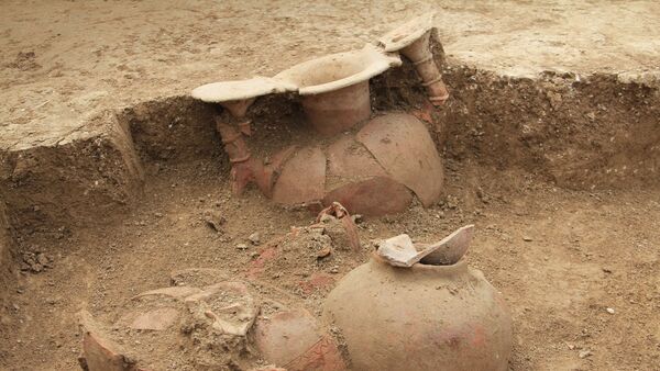 Смешанные находки и фрагменты человеческих останков, фото из архива - Sputnik Азербайджан