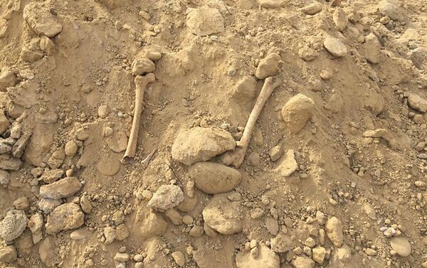 Человеческие кости, обнаруженные в Наримановском районе Баку - Sputnik Азербайджан