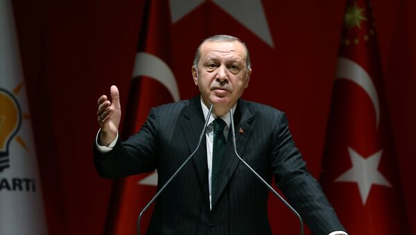Президент Турции Реджеп Тайип Эрдоган, архивное фото - Sputnik Азербайджан