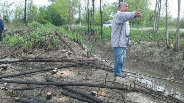 43 дерева акации диаметром 4-4 см были сожжены и вырублены - Sputnik Азербайджан