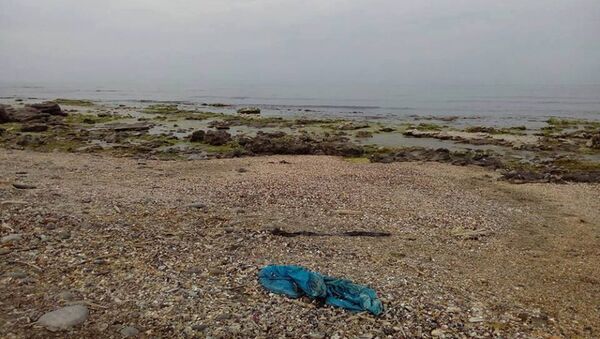 Загрязненный берег моря - Sputnik Azərbaycan