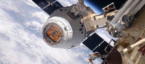 Космический грузовик SpaceX Dragon во время стыковки с МКС Космический грузовик SpaceX Dragon во время стыковки с МКС - Sputnik Азербайджан
