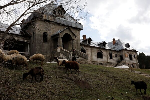 Пастух и стадо овец у старого здания в провинции Карс, Турция - Sputnik Азербайджан
