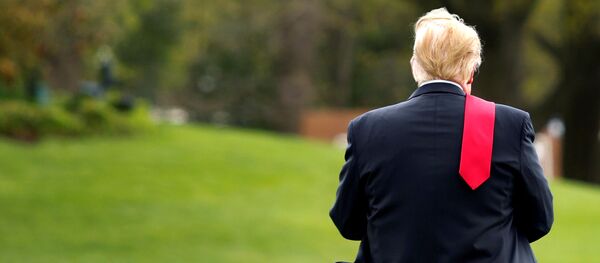 Президент США Дональд Трамп на лужайке Белого дома в Вашингтоне - Sputnik Азербайджан
