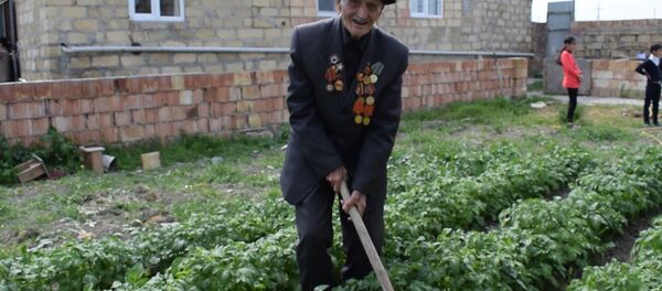 Не стареют душой ветераны: 97-летний азербайджанец растит виноградник Не стареют душой ветераны: 97-летний азербайджанец растит виноградник - Sputnik Азербайджан