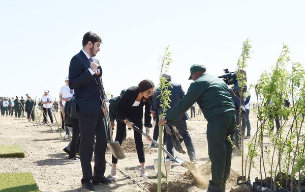 Президент Азербайджанской Республики Ильхам Алиев, первая леди Мехрибан Алиева и члены семьи приняли участие в акции по посадке деревьев - Sputnik Азербайджан