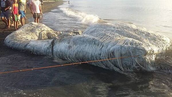 На берег в Сан-Анонио на Филиппинах вынесли тело шестиметрового, покрытого волосами морского существа - Sputnik Азербайджан