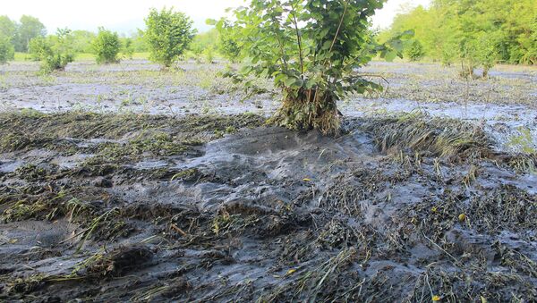 Из-за продолжительных ливней в Загатальском районе из берегов вышла река Талачай - Sputnik Азербайджан