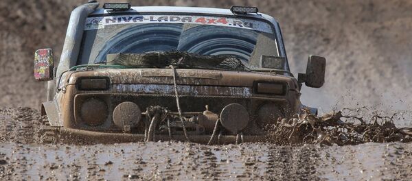 Автоспорт. RainForest Challenge Russia - 2014 Автоспорт. RainForest Challenge Russia - 2014 - Sputnik Азербайджан