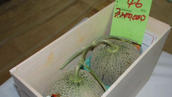 Плоды дыни-канталупы за 3,2 миллиона иен - Sputnik Азербайджан