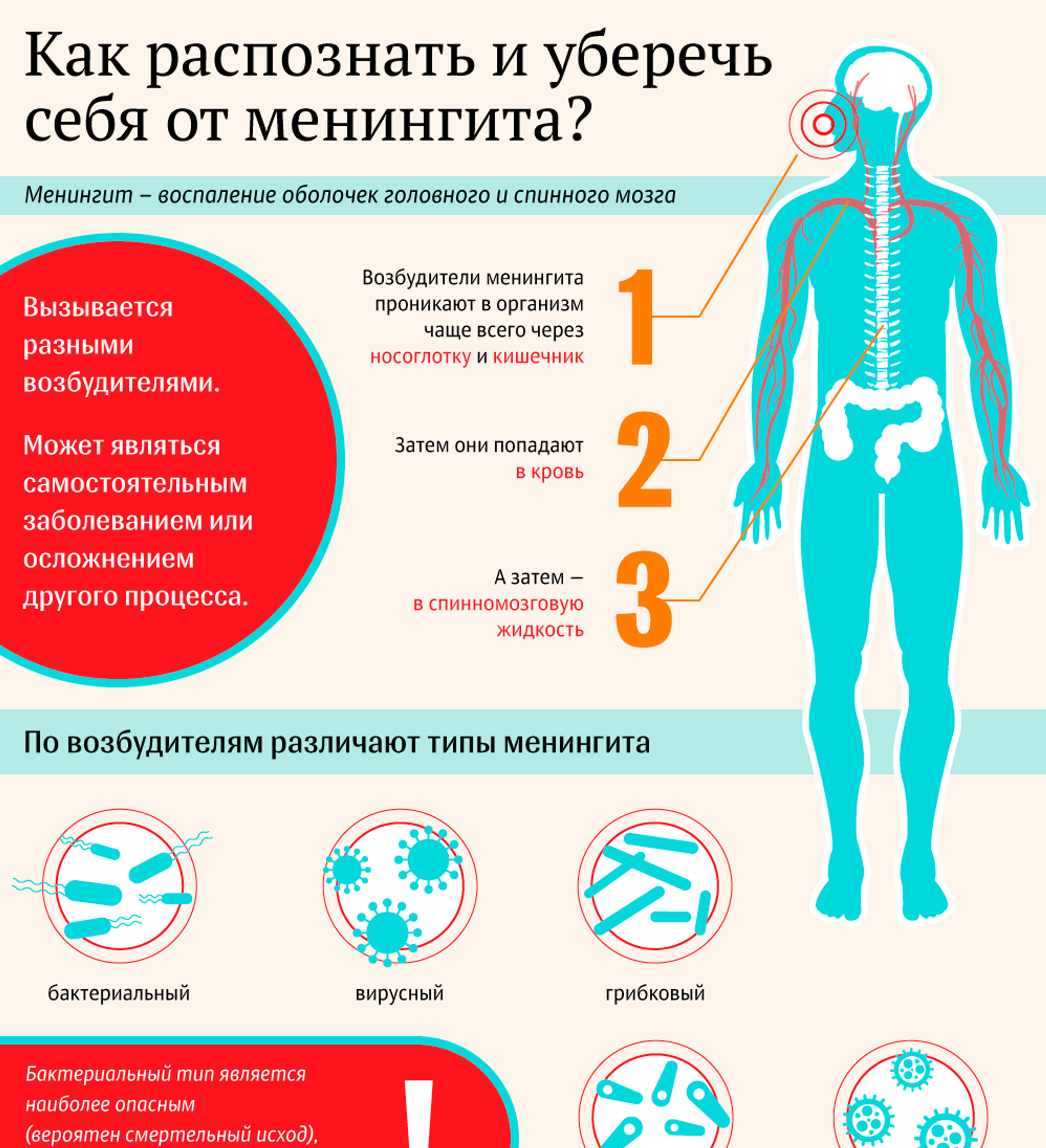 Симптомы менингита у человека. Вирусный менингит симптомы.