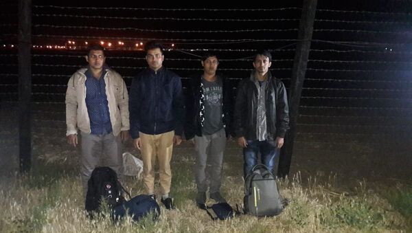Сотрудниками Государственной пограничной службы и Службы государственной безопасности Азербайджана задержаны четверо граждан Бангладеш - Sputnik Азербайджан