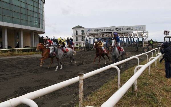 Открытие Национального фестиваля конного спорта - Sputnik Азербайджан
